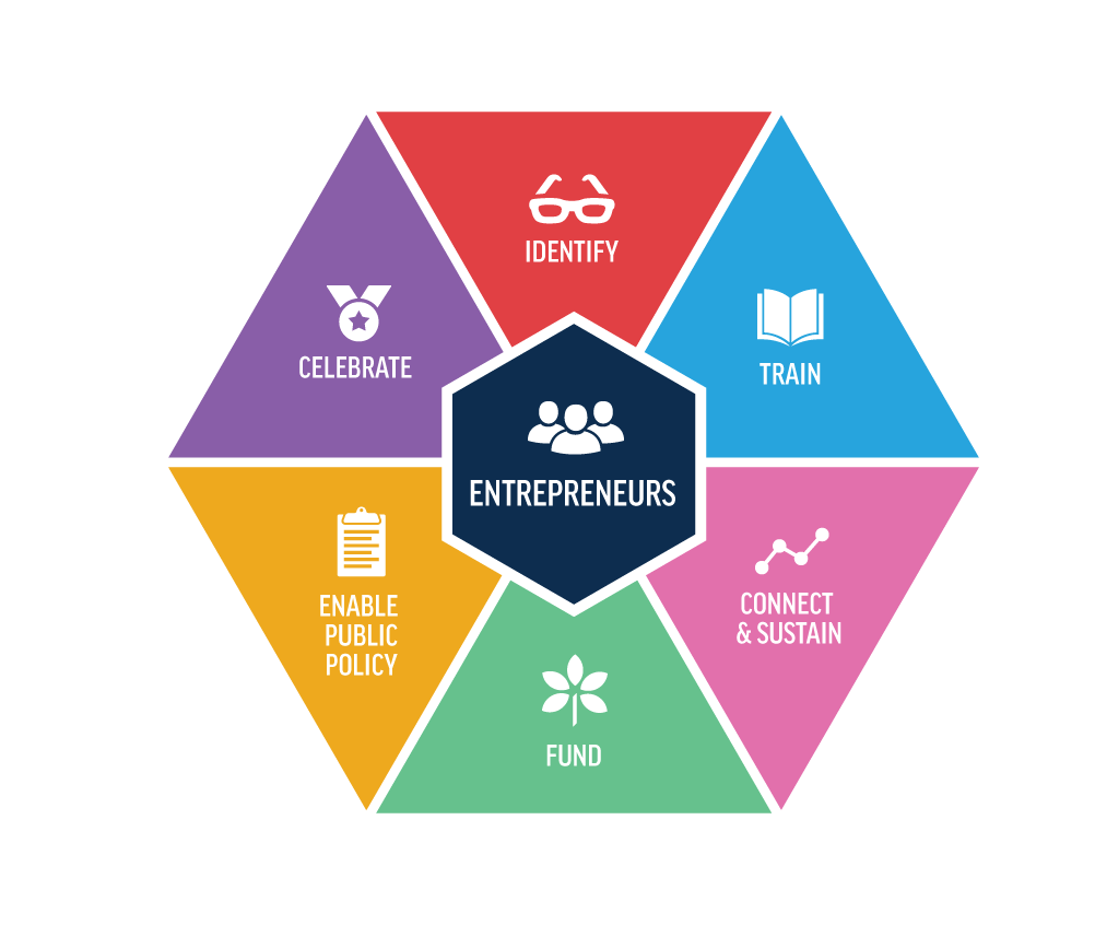 graphic demonstrating entrepreneurial ecosystem
